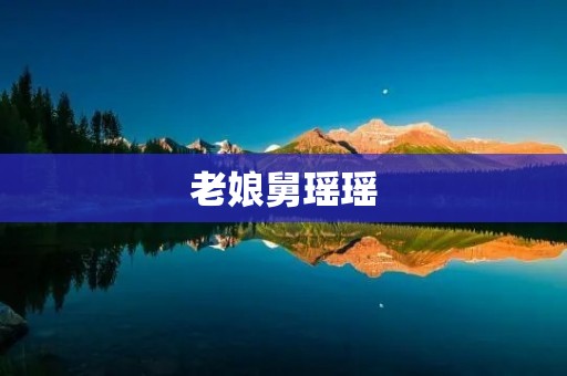老娘舅瑶瑶：一部让人心动的电视剧
