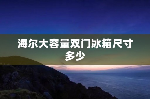 海尔大容量双门冰箱尺寸多少