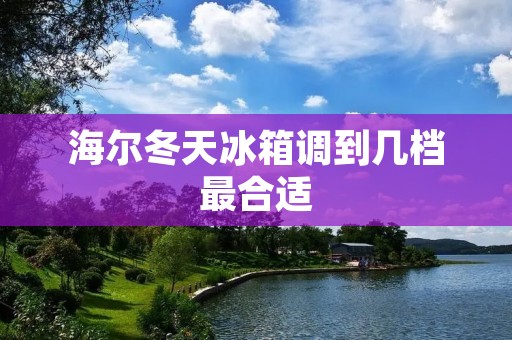 海尔冬天冰箱调到几档最合适:详细描述