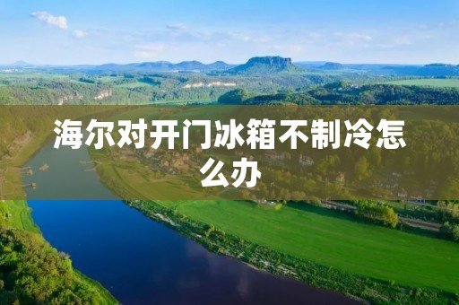 海尔对开门冰箱不制冷怎么办