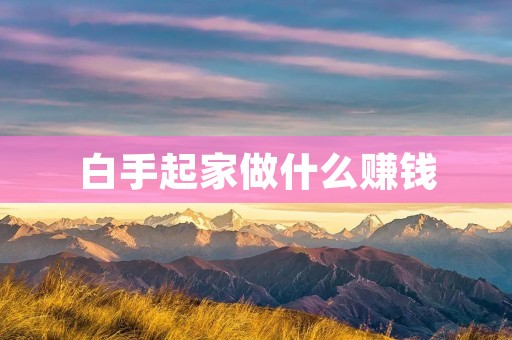 白手起家做什么赚钱