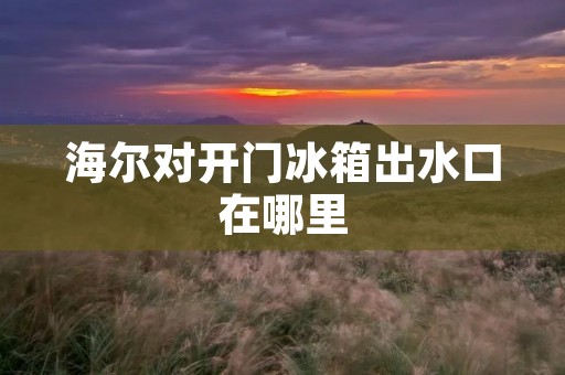 海尔对开门冰箱出水口在哪里