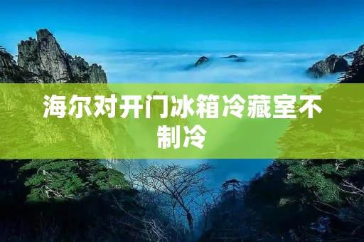 海尔对开门冰箱冷藏室不制冷:常见问题及解决方法
