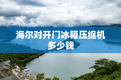 海尔对开门冰箱压缩机多少钱