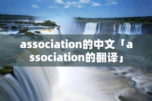 association的中文「association的翻译」