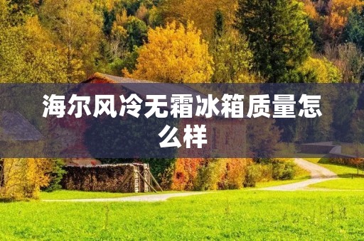 海尔风冷无霜冰箱质量怎么样:全面评估与详细描述 海尔风冷无霜冰箱质量怎么样:全面评估与详细描述