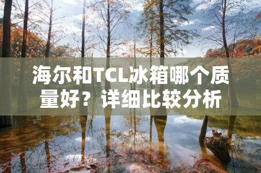 海尔和TCL冰箱哪个质量好?详细比较分析