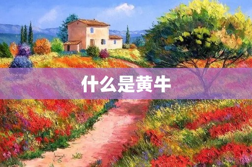 什么是黄牛