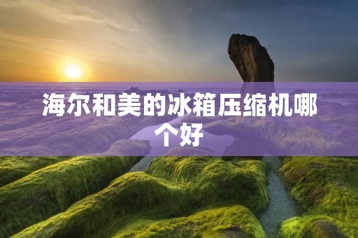 海尔和美的冰箱压缩机哪个好 海尔和美的冰箱压缩机哪个好