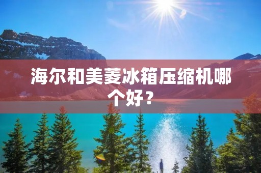 海尔和美菱冰箱压缩机哪个好？