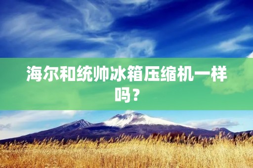 海尔和统帅冰箱压缩机一样吗？