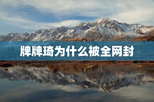 牌牌琦为什么被全网封