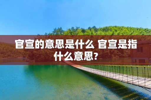 官宣的意思是什么 官宣是指什么意思?