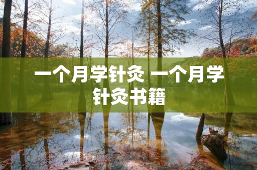 一个月学针灸 一个月学针灸书籍
