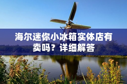 海尔迷你小冰箱实体店有卖吗?详细解答 海尔迷你小冰箱实体店有卖吗?详细解答