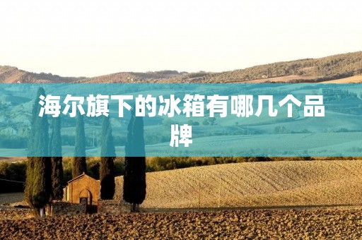 海尔旗下的冰箱有哪几个品牌 海尔旗下的冰箱有哪几个品牌