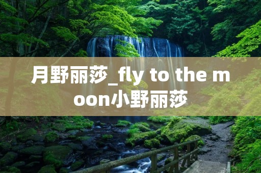 月野丽莎_fly to the moon小野丽莎 月野丽莎_fly to the moon小野丽莎