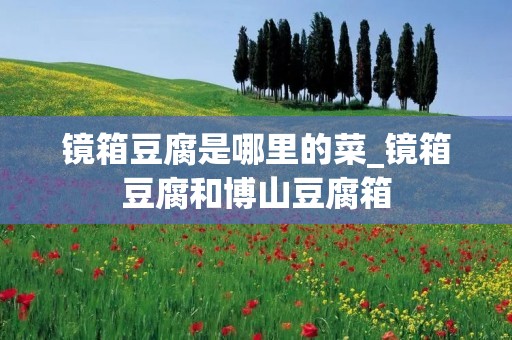镜箱豆腐是哪里的菜_镜箱豆腐和博山豆腐箱 镜箱豆腐是哪里的菜_镜箱豆腐和博山豆腐箱