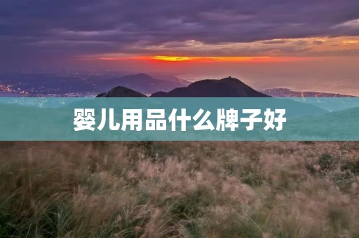 婴儿用品什么牌子好 婴儿用品什么牌子好