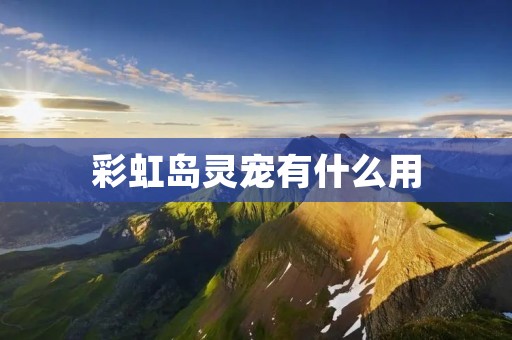彩虹岛灵宠有什么用 彩虹岛灵宠有什么用