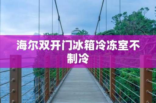 海尔**门冰箱冷冻室不制冷：原因及解决方法