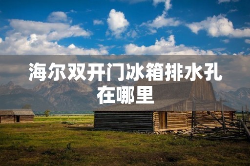 海尔**门冰箱排水孔在哪里 海尔**门冰箱排水孔在哪里