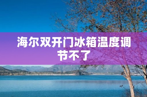 海尔**门冰箱温度调节不了:原因与解决方法 海尔**门冰箱温度调节不了:原因与解决方法