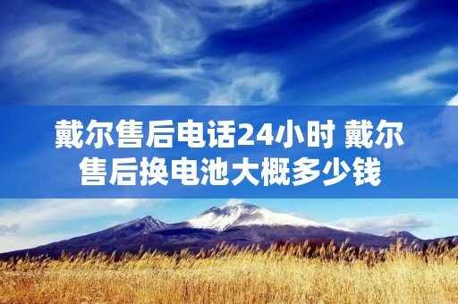 戴尔售后电话24小时 戴尔售后换电池大概多少钱