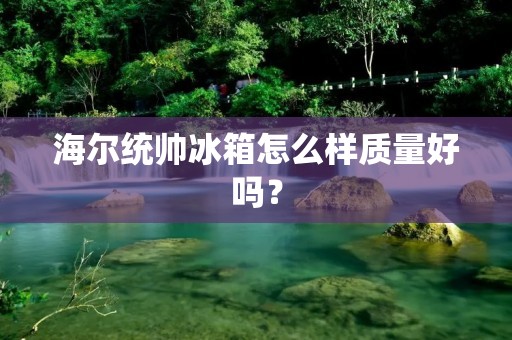 海尔统帅冰箱怎么样质量好吗? 海尔统帅冰箱怎么样质量好吗?