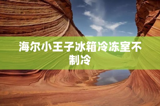 海尔小王子冰箱冷冻室不制冷：原因与解决方法