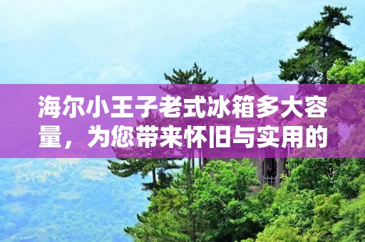 海尔小王子老式冰箱多大容量，为您带来怀旧与实用的完美结合