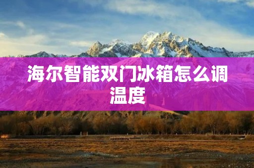 海尔智能双门冰箱怎么调温度