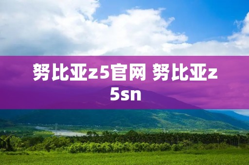 努比亚z5官网 努比亚z5sn 努比亚z5官网 努比亚z5sn