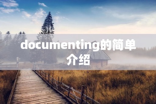 documenting的简单介绍