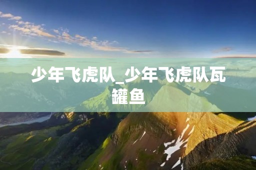 少年飞虎队_少年飞虎队瓦罐鱼