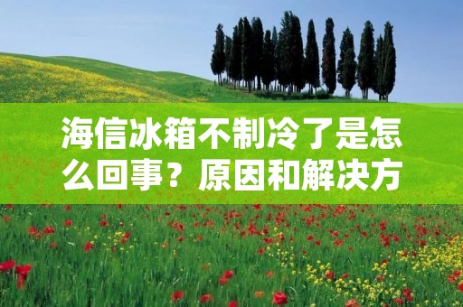 海信冰箱不制冷了是怎么回事？原因和解决方法详解