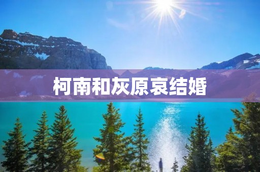 柯南和灰原哀结婚