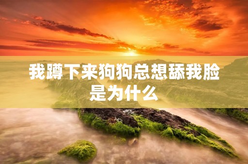 我蹲下来狗狗总想舔我脸是为什么
