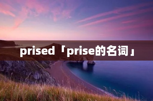 prised「prise的名词」