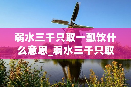 弱水三千只取一瓢饮什么意思_弱水三千只取一瓢饮什么意思? 弱水三千只取一瓢饮什么意思_弱水三千只取一瓢饮什么意思?