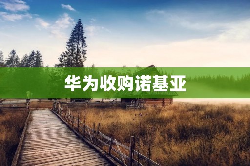 华为收购诺基亚：中国科技巨头迈向全球通信业巅峰