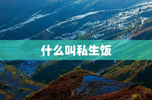 什么叫私生饭