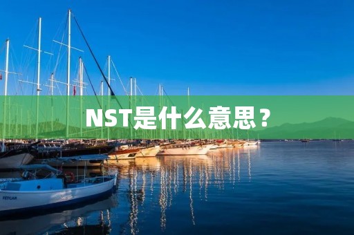 NST是什么意思？