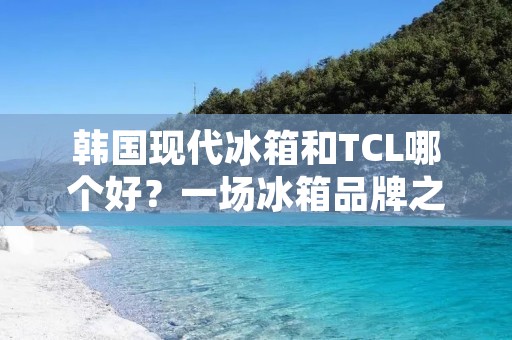 韩国现代冰箱和TCL哪个好?一场冰箱品牌之争引发的消费者困惑 韩国现代冰箱和TCL哪个好?一场冰箱品牌之争引发的消费者困惑