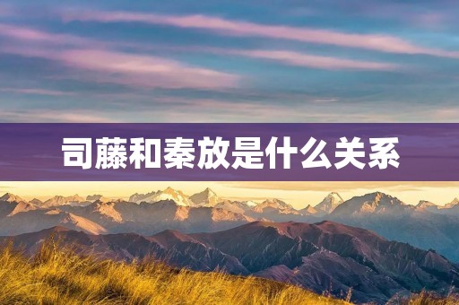 司藤和秦放是什么关系 司藤和秦放是什么关系