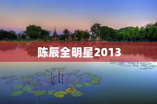 陈辰全明星2013:一场星光熠熠的盛会 陈辰全明星2013:一场星光熠熠的盛会