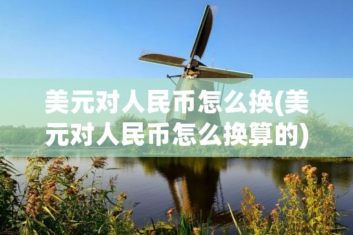 美元对人民币怎么换(美元对人民币怎么换算的)