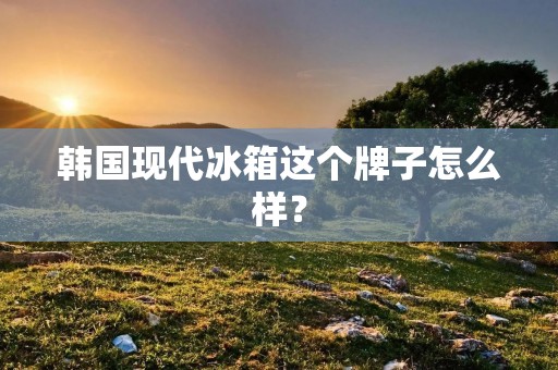 韩国现代冰箱这个牌子怎么样？