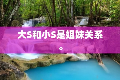 大S和小S是姐妹关系。 大S和小S是姐妹关系。