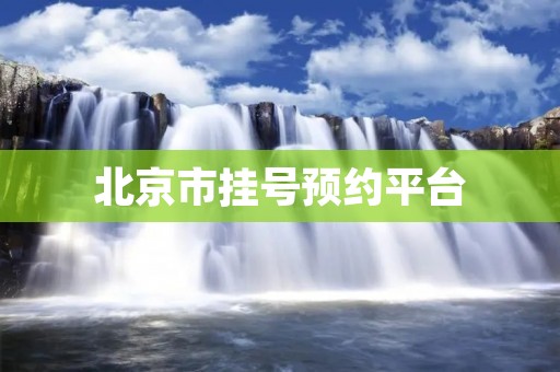 北京市挂号预约平台:为您提供便捷高效的医疗服务 北京市挂号预约平台:为您提供便捷高效的医疗服务
